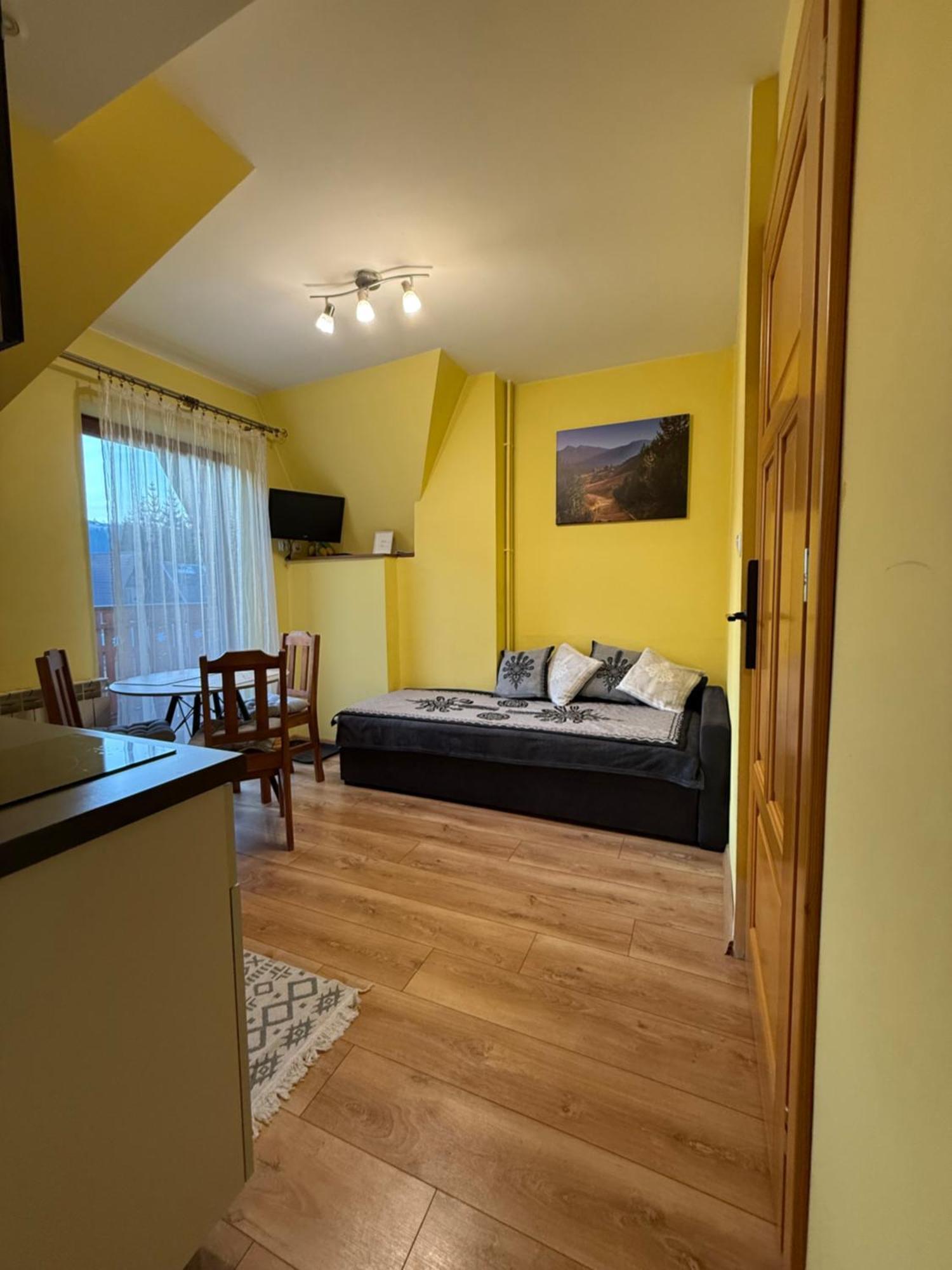 Apartamenty Nad Potokiem Aneta Burliga Закопане Экстерьер фото